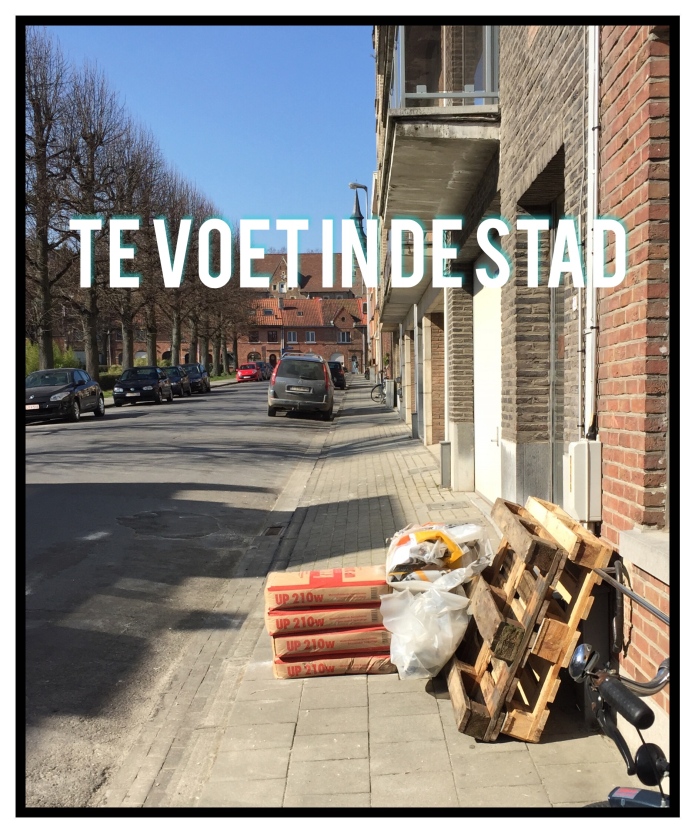 Cover. Stoep. Te Voet in de Stad. Foto Hendrik Elie Vanden Abeele